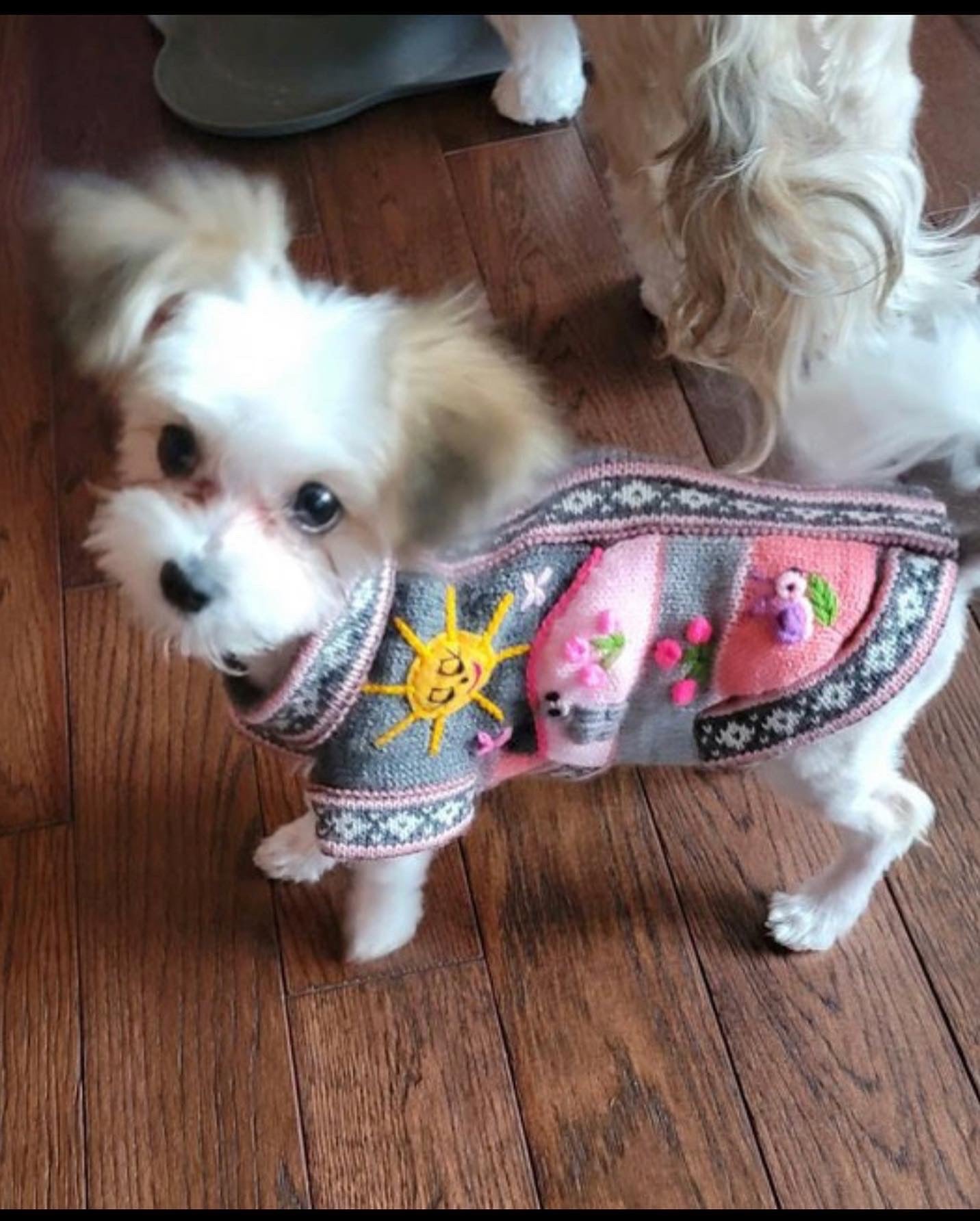 Gray and Pink Handmade Peruvian Dog Sweater