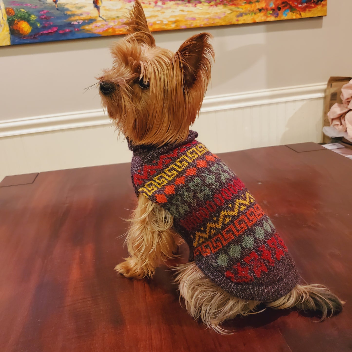 NAZCA- Alpaca dog sweaters (size 6-8)