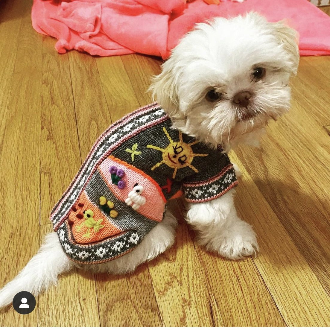 shitzu dog sweater by peruvian accent