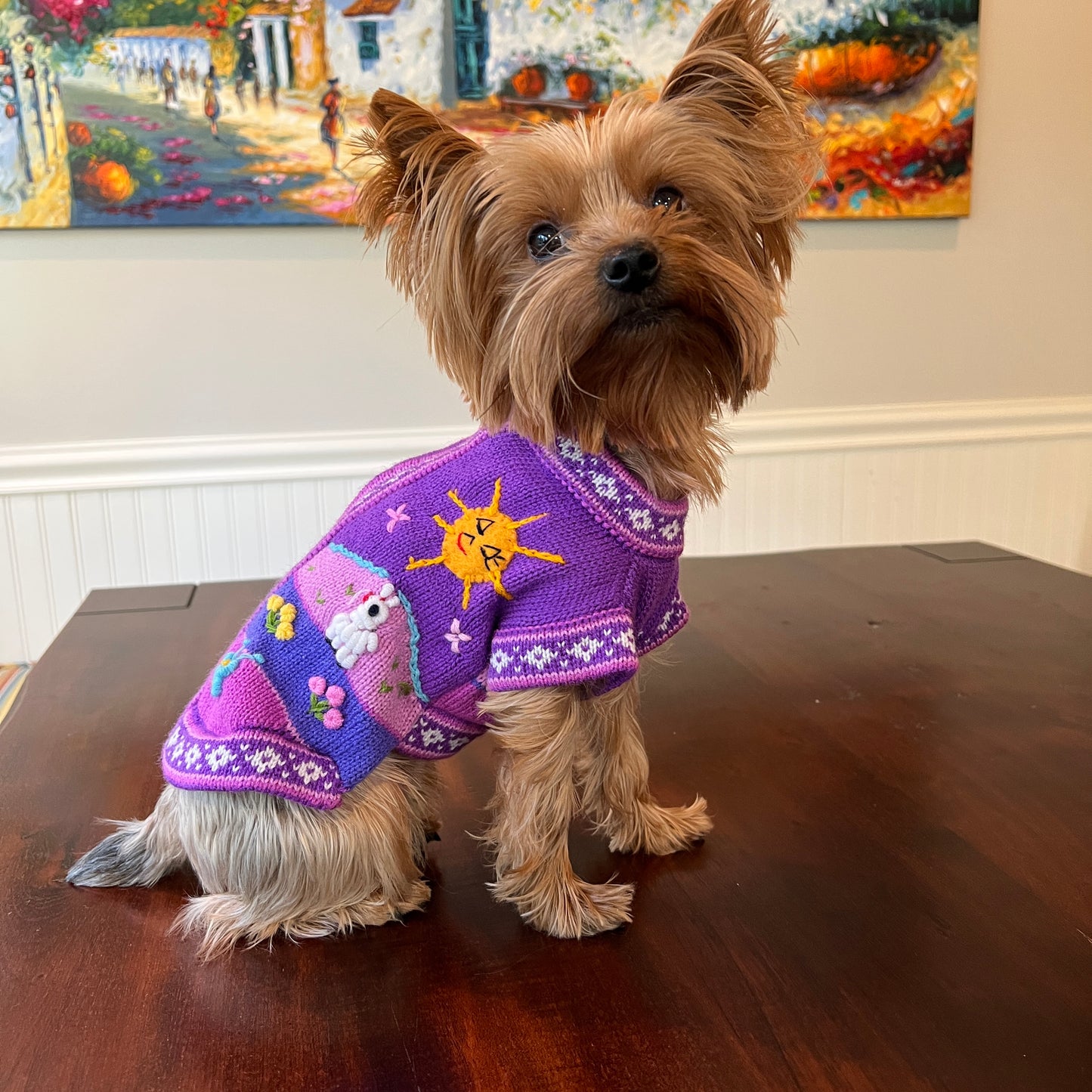 yorkshire terrier doggie sweater by peruvian accent