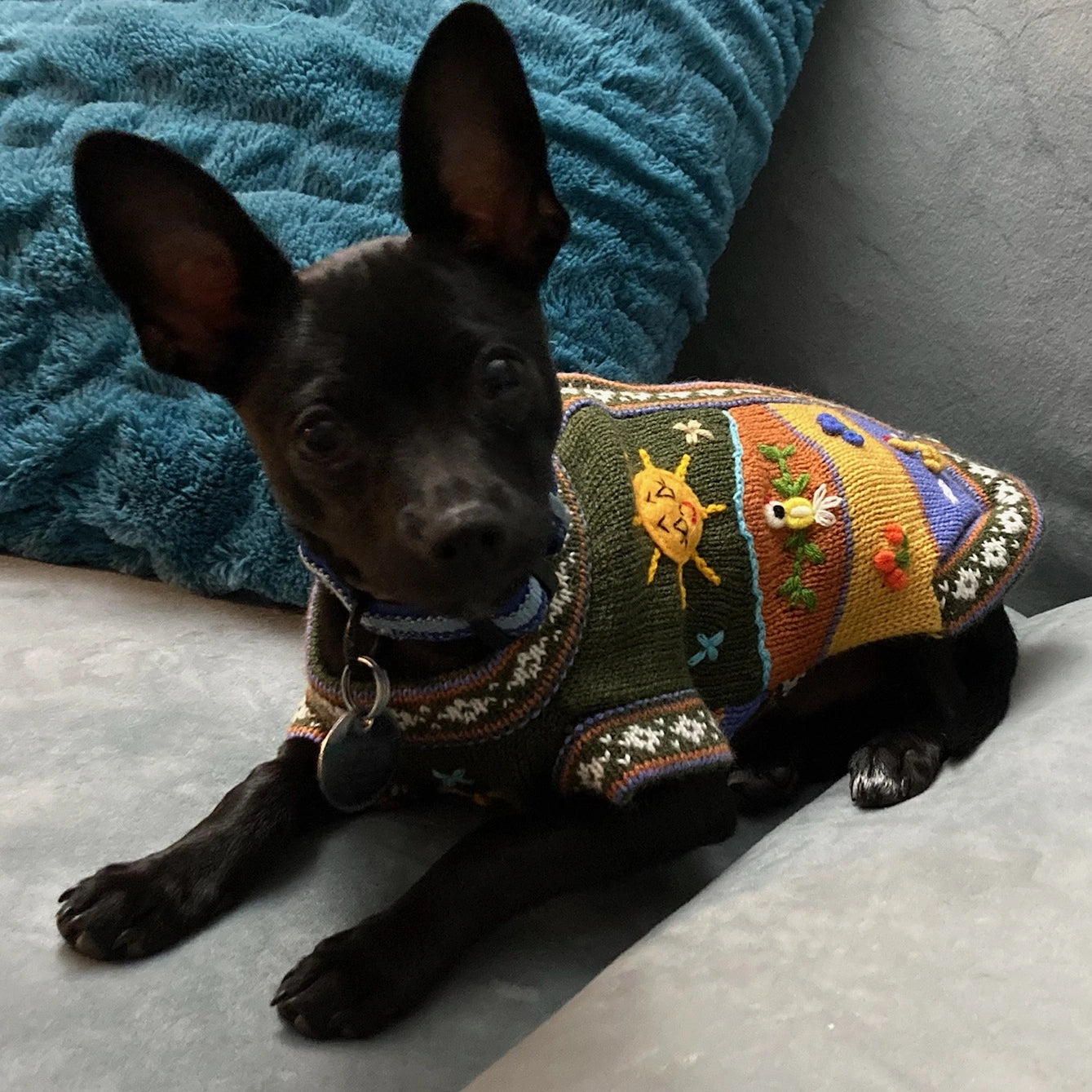 Size 2 Peruvian Dog Sweater