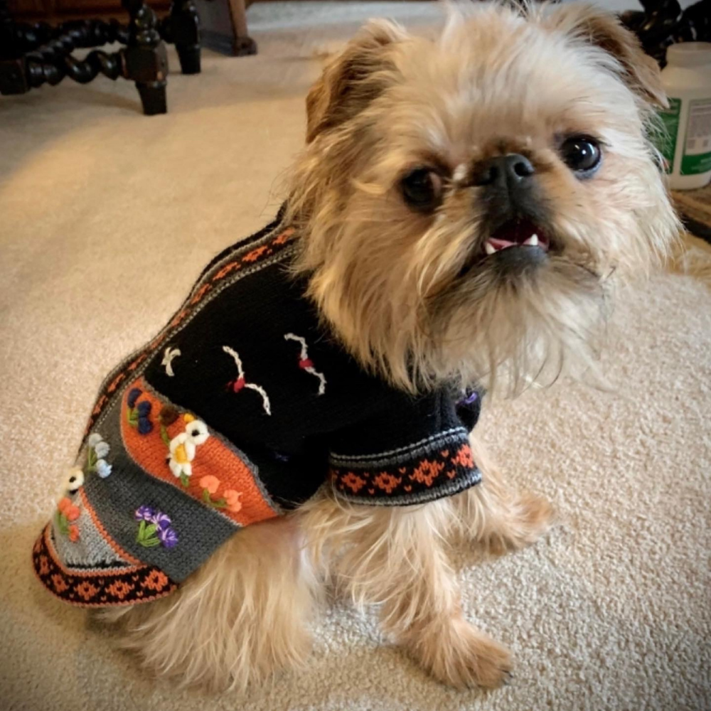 Size 2 Peruvian Dog Sweater