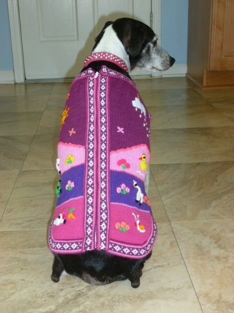 Size 12 Peruvian Dog Sweater